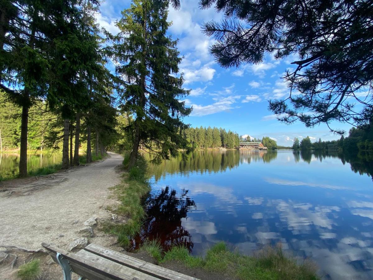 Ferienwohnung Oxana Im Naturpark Fichtelgebirge Schonwald  Eksteriør billede