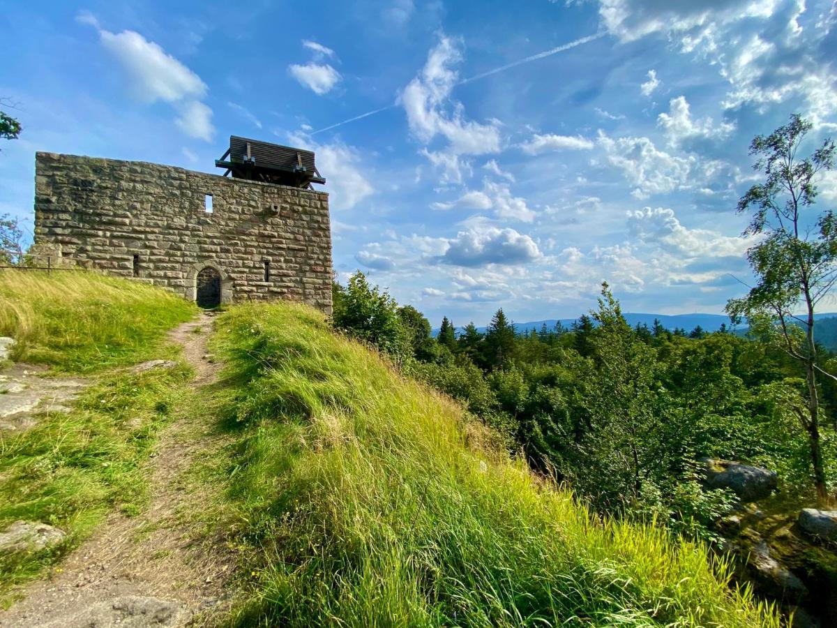 Ferienwohnung Oxana Im Naturpark Fichtelgebirge Schonwald  Eksteriør billede