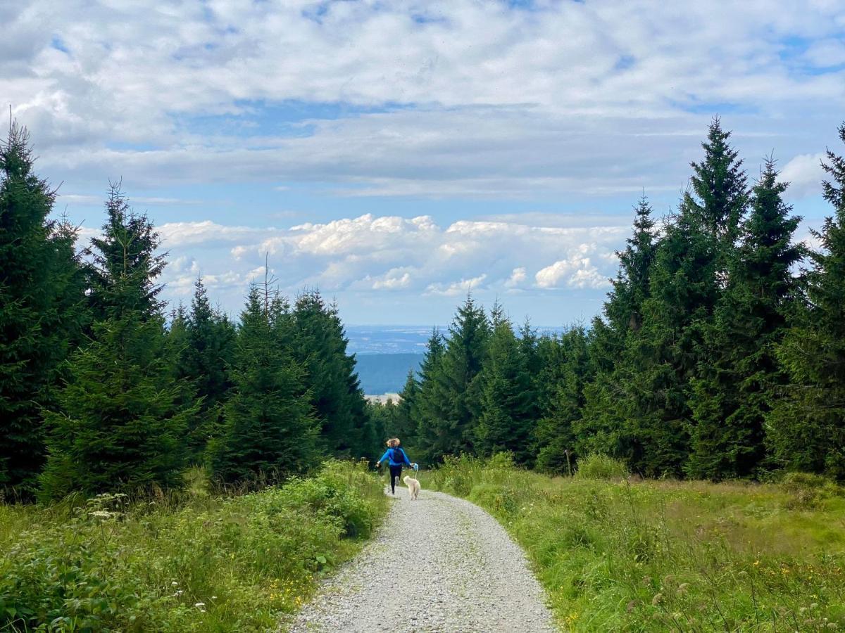 Ferienwohnung Oxana Im Naturpark Fichtelgebirge Schonwald  Eksteriør billede