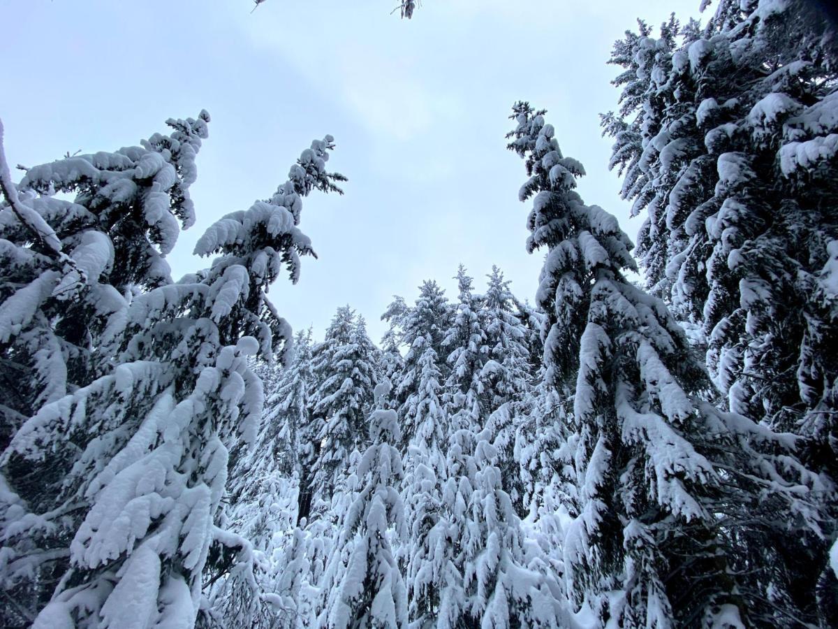 Ferienwohnung Oxana Im Naturpark Fichtelgebirge Schonwald  Eksteriør billede