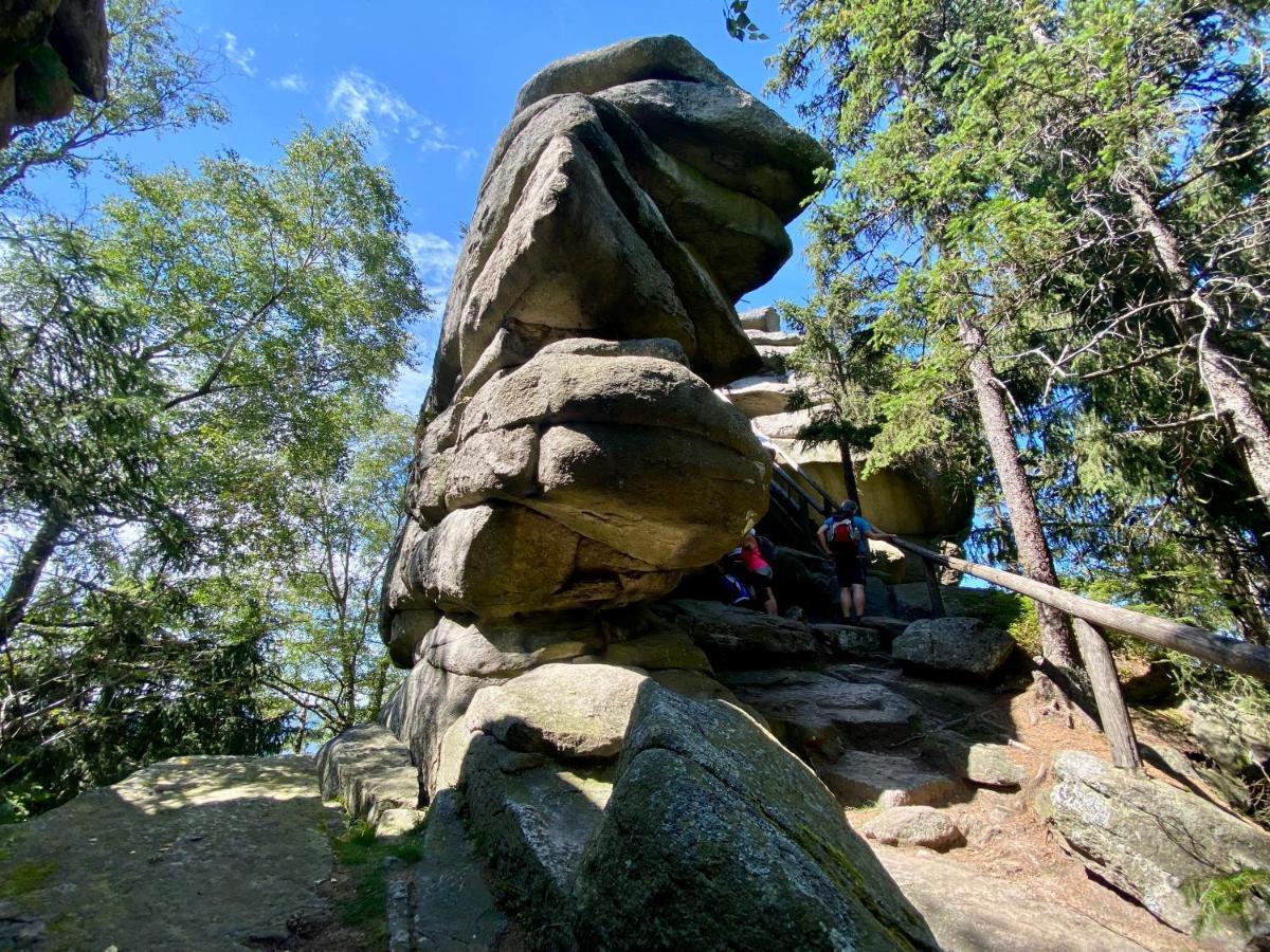 Ferienwohnung Oxana Im Naturpark Fichtelgebirge Schonwald  Eksteriør billede