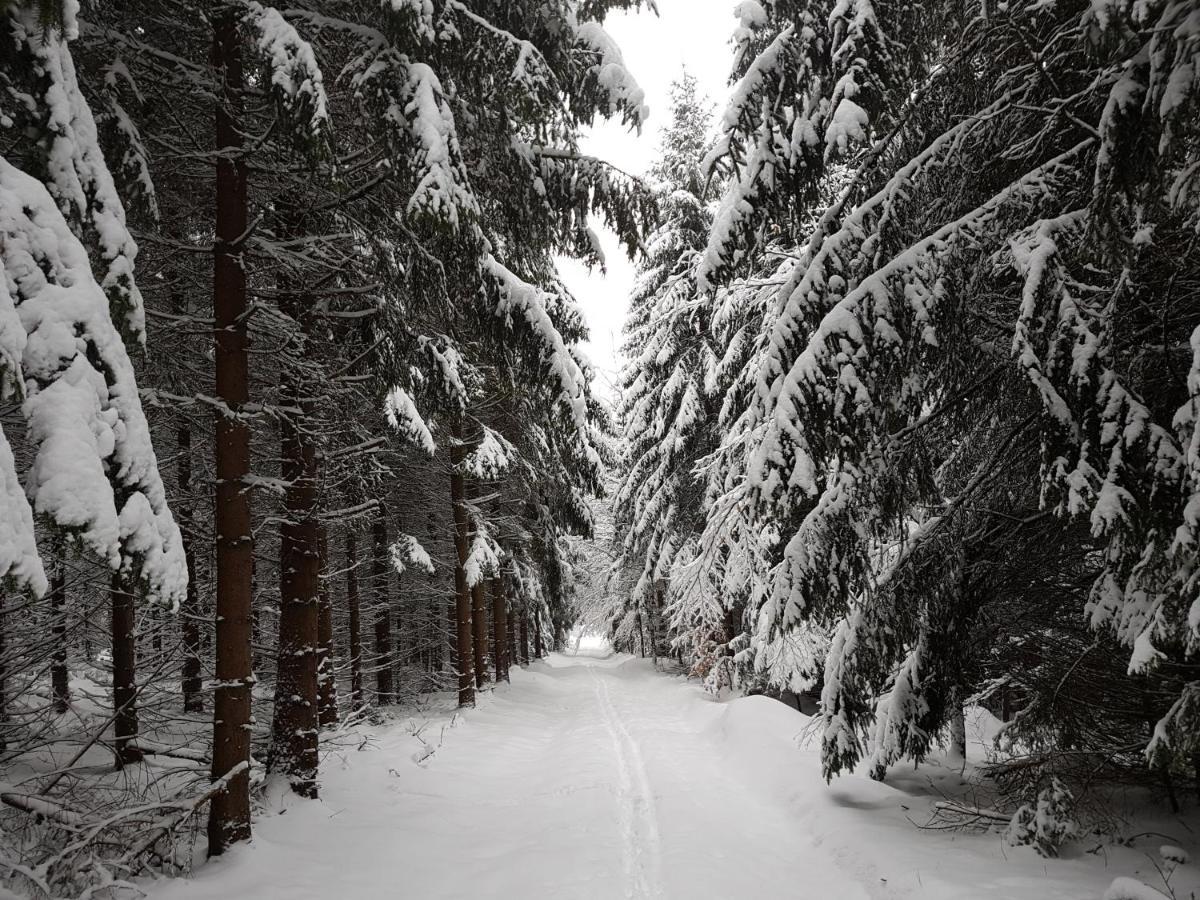 Ferienwohnung Oxana Im Naturpark Fichtelgebirge Schonwald  Eksteriør billede